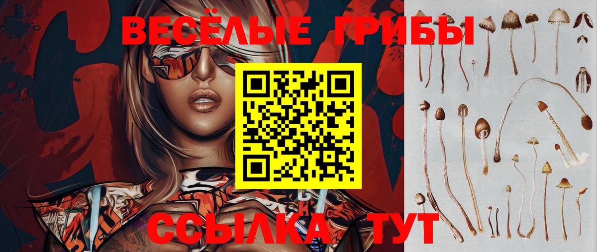 Глазов  Псилоцибиновые грибы мицелий  Вход с VPN  Галлюциногенные грибы мухоморы 